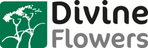 logo devine flowers
